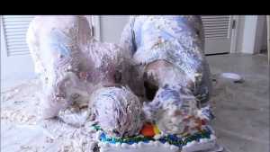 the-messy-magic-cake-game_18.jpg